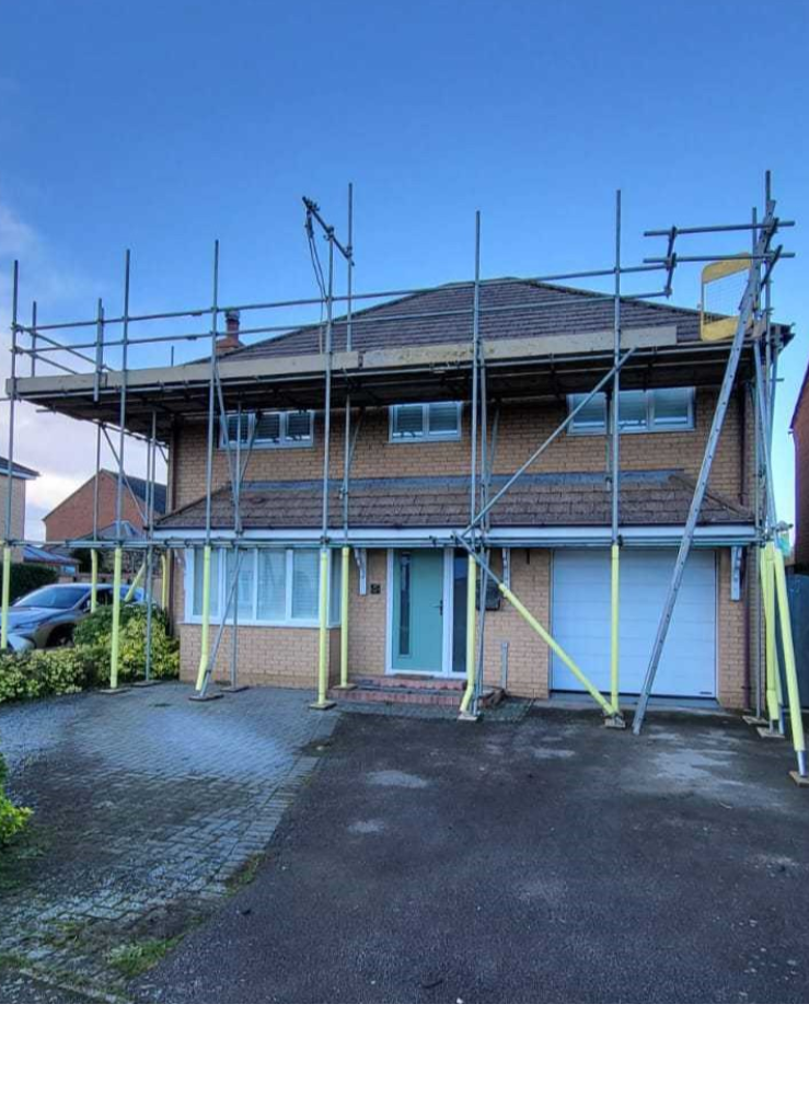 Untitled design - 2024-10-30T193533.009